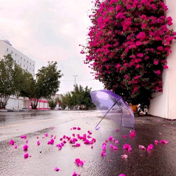 م. اسراء العبيد